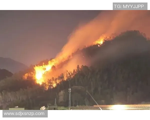 突发!热火主帅斯波豪宅遭受大火 当地救援部队正全力熄灭火势